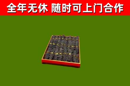 岐山回收海参